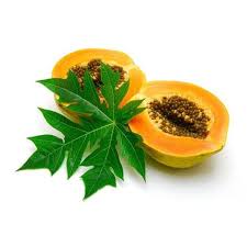 Carica Papaya