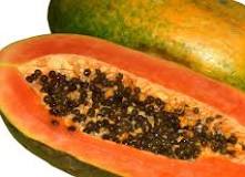 Papaya