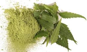Manjistha Herbal Powder