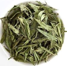 Stevia leaves dried