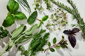 Herbs