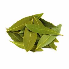 Bay leaf