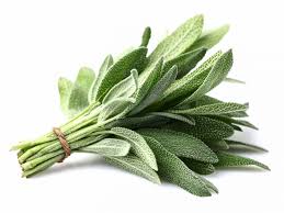 Sage