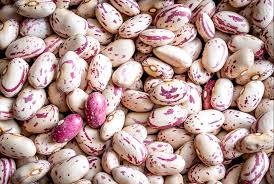 Cranberry beans